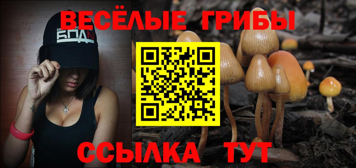 Касимов  Псилоцибиновые грибы GOLDEN TEACHER  Вход с VPN 