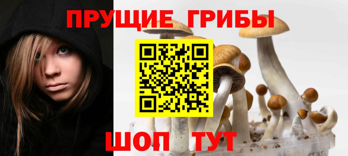 Галлюциногенные грибы MAGIC MUSHROOMS Касимов